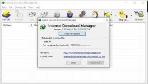 IDM Crack 6.42 Build 4 Patch + Serial Key Download [Updated-2024]