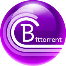 BitTorrent Pro 7.11.0.47007 Crack + Activation Key 2024 [Full-Updated]